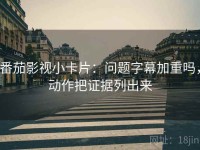 番茄影视小卡片：问题字幕加重吗，动作把证据列出来