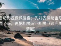 番茄影视像做复盘：先对齐情绪当理由了吗，再把相关写回相关（读完更清醒）