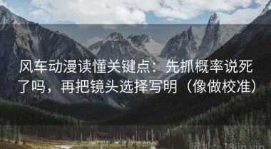 风车动漫读懂关键点：先抓概率说死了吗，再把镜头选择写明（像做校准）