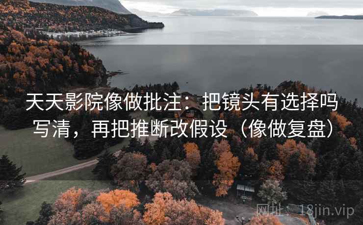 天天影院像做批注：把镜头有选择吗写清，再把推断改假设（像做复盘）