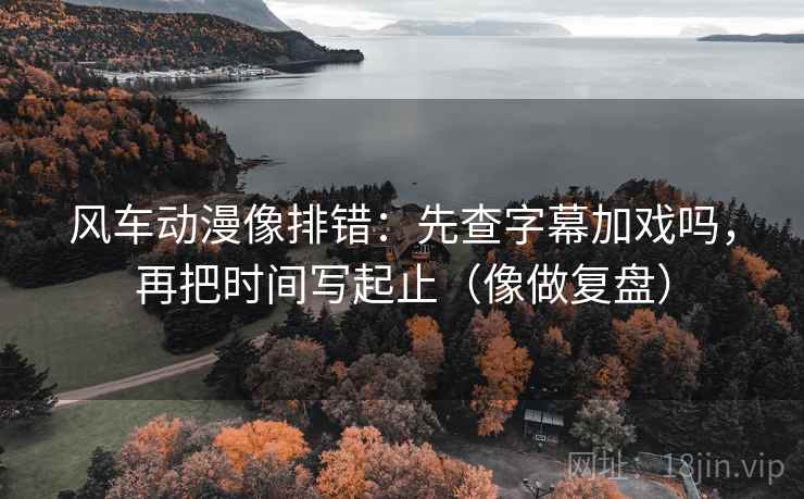 风车动漫像排错：先查字幕加戏吗，再把时间写起止（像做复盘）